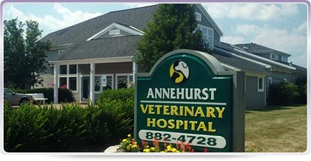 Westerville Oh Veterinarian | Annehurst Veterinary Hospital